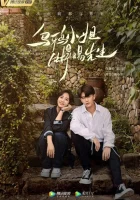 Мисс Ворона и мистер Ящерица смотреть онлайн сериал 1 сезон