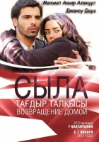 Сыла. Возвращение домой смотреть онлайн сериал 1-3 сезон